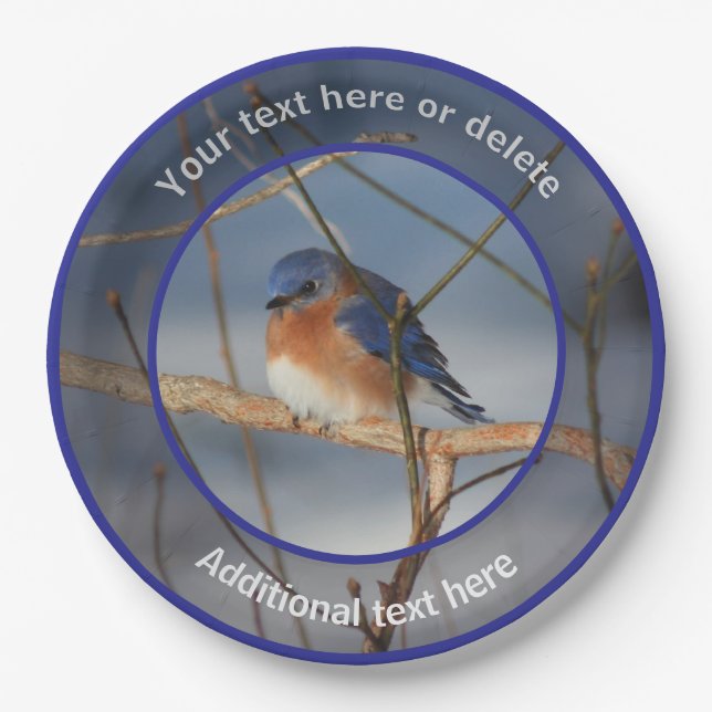 Winter Bluebird Personalised Party  Paper Plate (Front)