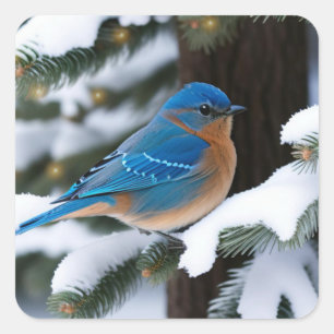 Winter Bluebird Square Sticker