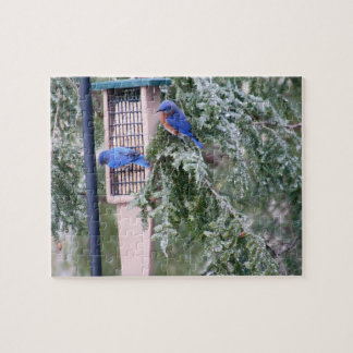 Winter Bluebirds Jigsaw Puzzle