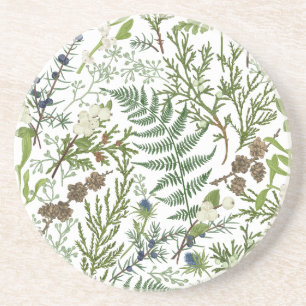 Winter Botanical   Coaster