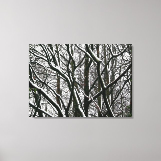 Winter Branches Canvas Print (Front)