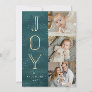 Winter Branches Holiday Photo Card