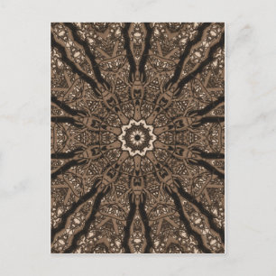 Winter Branches Postcard