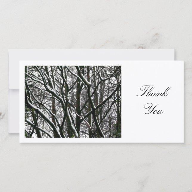 Winter Branches - Thank You Card (Front)