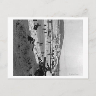 Winter bridge over River at Fairbanks Postcard