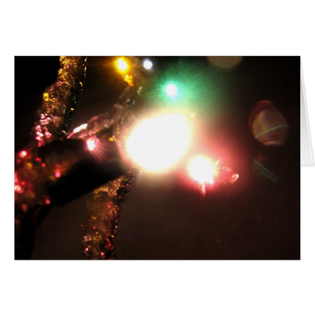 Winter Bright (Front Horizontal)