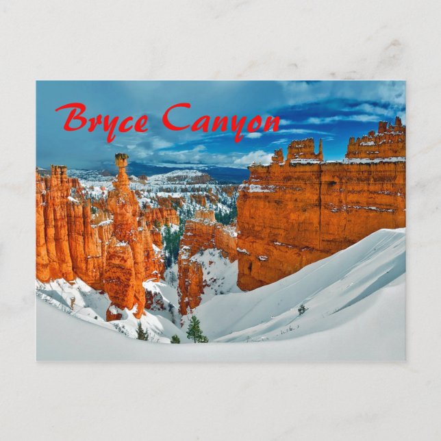 Winter Bryce Canyon National Park Utah Postcard (Front)