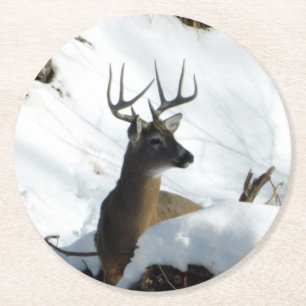 Winter Buck Coaster