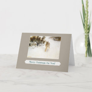 winter bunny greeting card