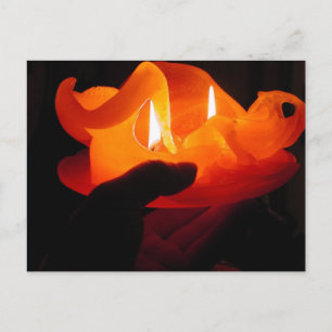 Winter candle Photo: Colette CHG Postcard