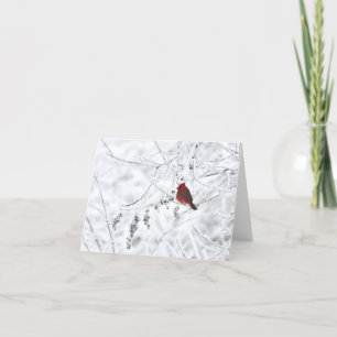 Winter Cardinal blank notecard