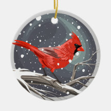 Winter Cardinal