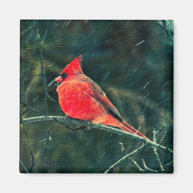 Winter Cardinal in Snowstorm - Enhanced Magnet (Front)