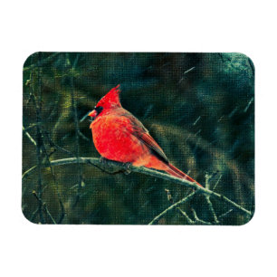 Winter Cardinal in Snowstorm - Enhanced Magnet