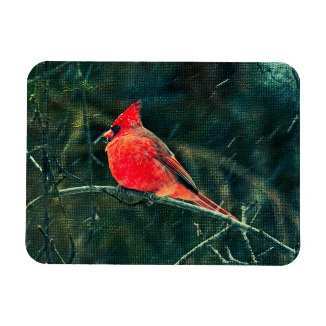 Winter Cardinal in Snowstorm - Enhanced Magnet (Horizontal)