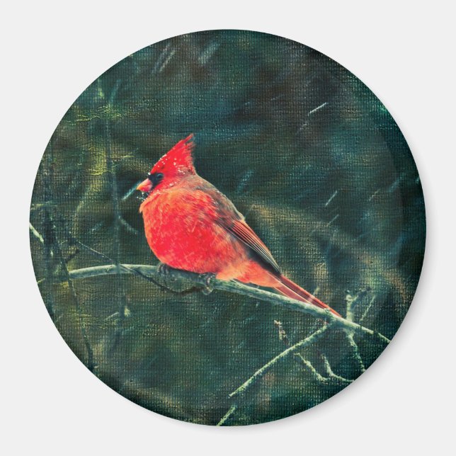 Winter Cardinal in Snowstorm - Enhanced Magnet (Front)