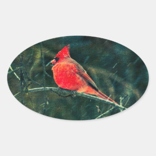 Winter Cardinal in Snowstorm - Enhanced Oval Sticker