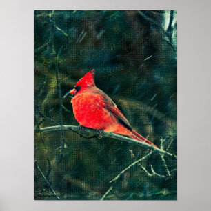Winter Cardinal in Snowstorm - Enhanced Poster