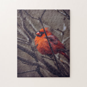 Winter Cardinal Jigsaw Puzzle