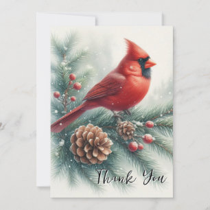 Winter Cardinal on Evergreen Nature Thank You Card