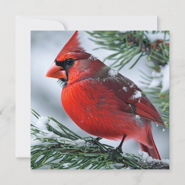 Winter Cardinal Red Bird Pine Christmas Wedding  Thank You Card (Front)