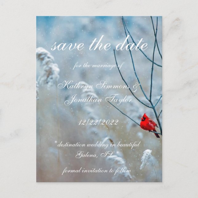 Winter Cardinal save the date Invitation Postcard (Front)