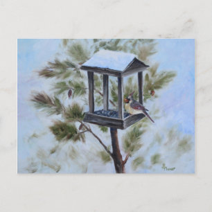 Winter Cardinal Visitor Postcard