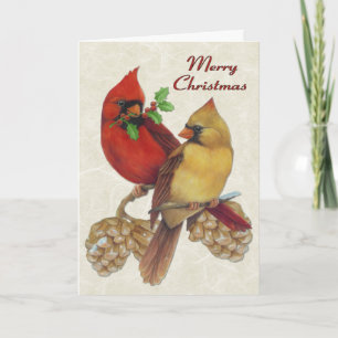 Winter Cardinals Holiday Card