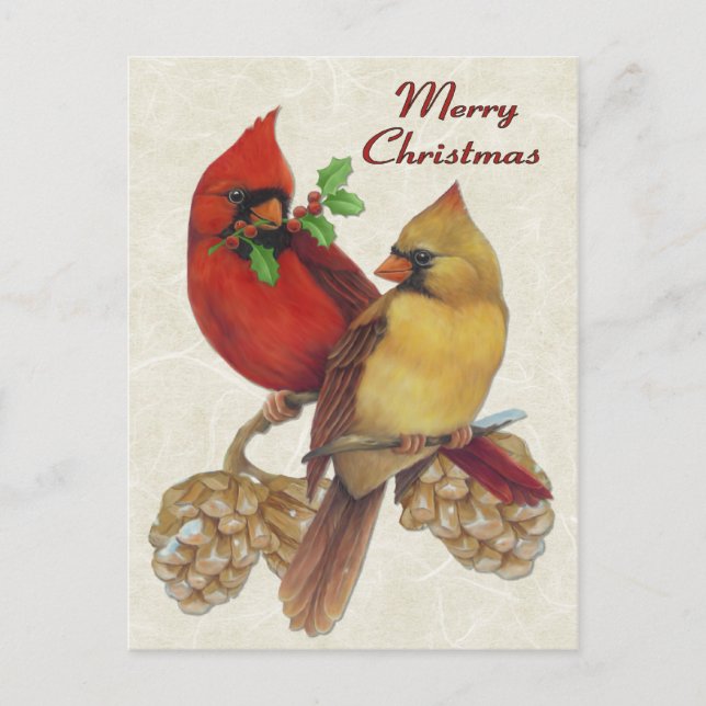 Winter Cardinals Holiday Postcard (Front)