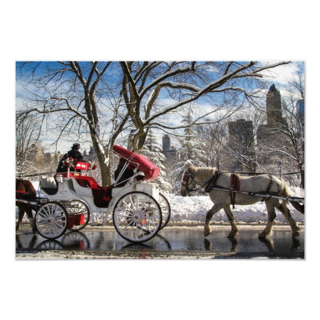 Winter Carriage Horses in Central Park Photo Print (Front)