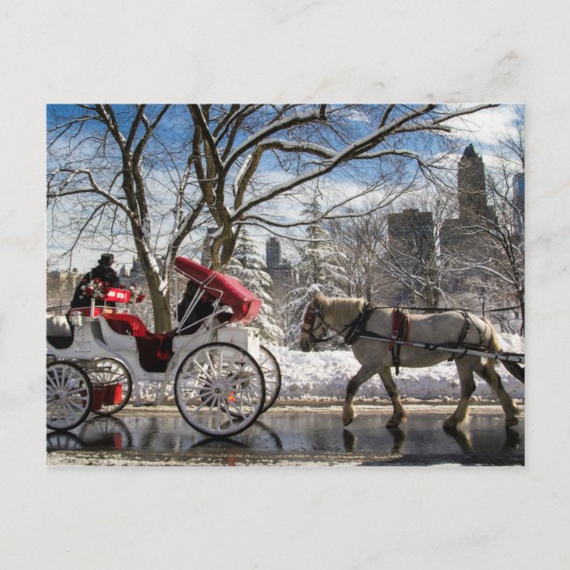 Winter Carriage Horses in Central Park Postcard (Front)