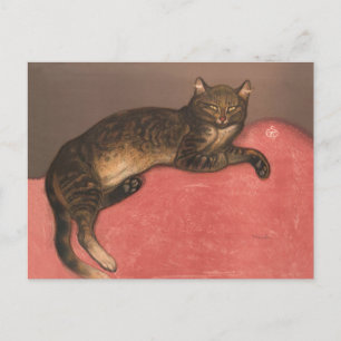 Winter Cat on Cushion Vintage Cat Portrait Postcard