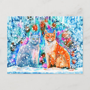 Winter Cats Postcard
