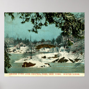 Winter, Cemtral Park, New York City Vintage Poster