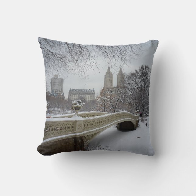 Winter - Central Park - New York City Cushion (Front)