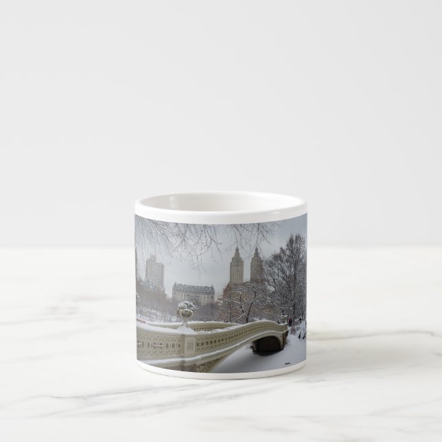 Winter - Central Park - New York City Espresso Cup (Front)