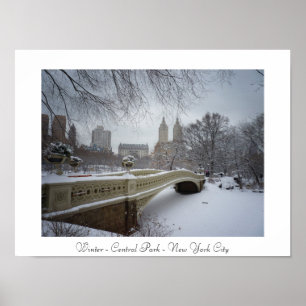 Winter - Central Park - New York City Poster