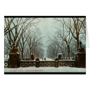 Winter Central Park NY Vintage c1910
