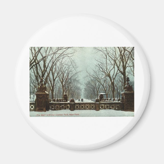 Winter Central Park NY Vintage c1910 Magnet (Front)