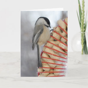Winter Chickadee Card