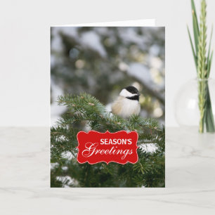 Winter Chickadee Holiday Greeting Card