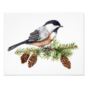 Winter Chickadee Photo Print