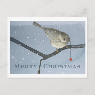 Winter Chickadee Postcard