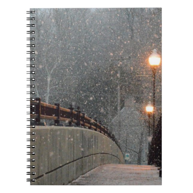 winter christmas 86 notebook (Front)