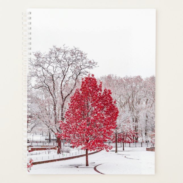 winter christmas 89 planner (Front)