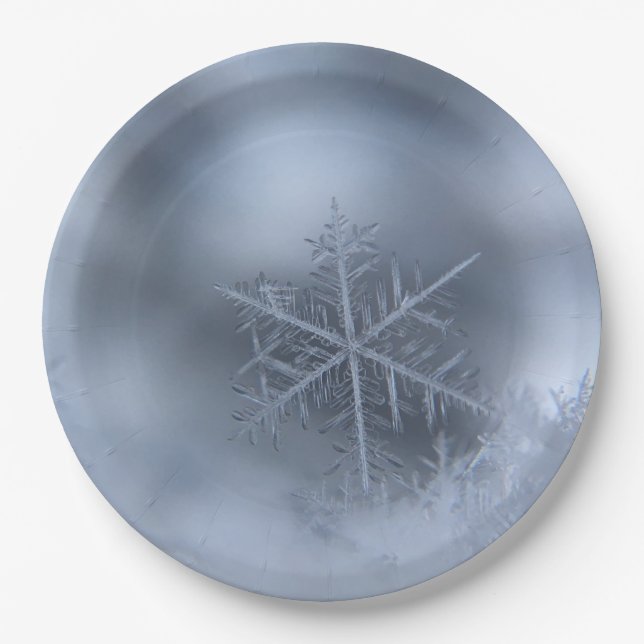 winter christmas 97 paper plate (Front)