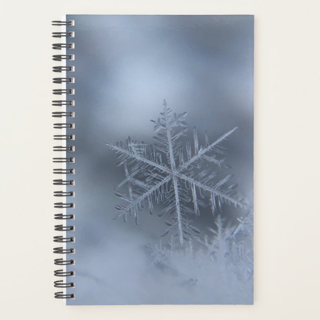 winter christmas 97 planner (Front)