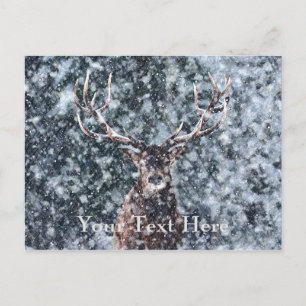 Winter Christmas Deer Postcard