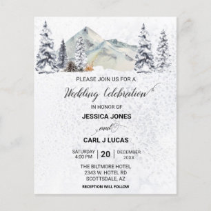 Winter Christmas Snow Landscape Budget  Flyer