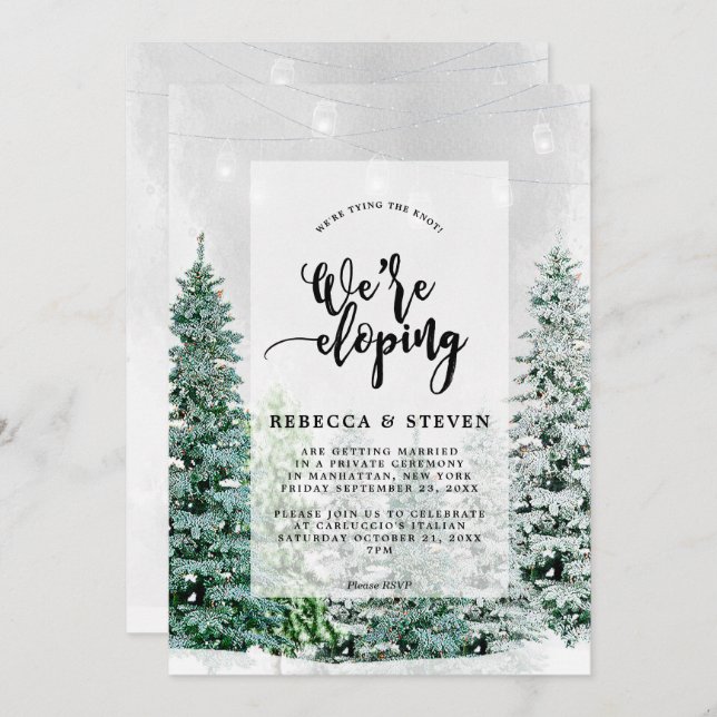 winter christmas tying the knot eloping invitation (Front/Back)